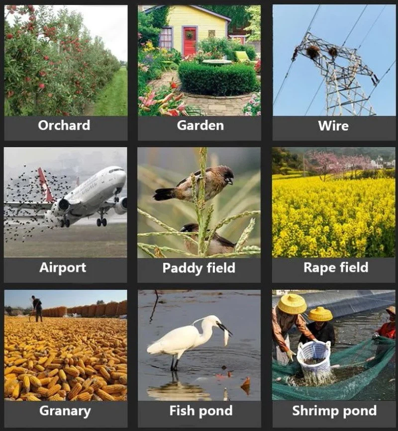 Laser Bird Repeller Laser Bird Repeller